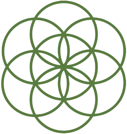 The Sacred Code